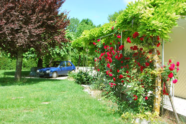 side garden