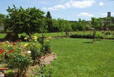 garden of house for sale in France