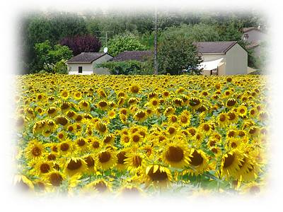 Gite for sale near Cahors in Lot region